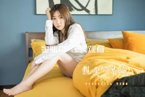 金瓶梅 在线观看